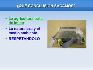¿QUÉ CONCLUSIÓN SACAMOS?¿QUÉ CONCLUSIÓN SACAMOS?
 La agricultura trata
de imitar:
 La naturaleza y el
medio ambiente.
 RESPETÁNDOLO
 