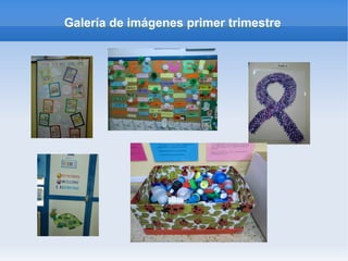 Galería de imágenes primer trimestre
 