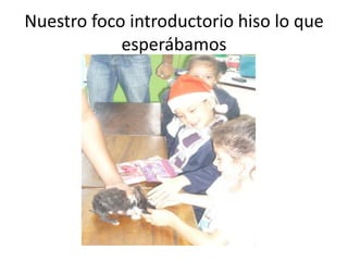 Nuestro foco introductorio hiso lo que
            esperábamos
 