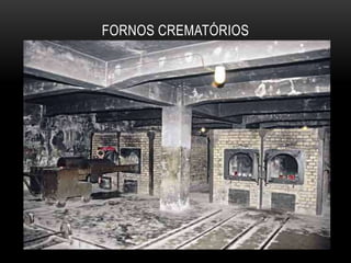 FORNOS CREMATÓRIOS
 