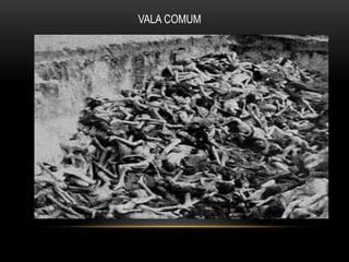 VALA COMUM
 
