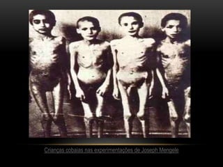 Crianças cobaias nas experimentações de Joseph Mengele
 