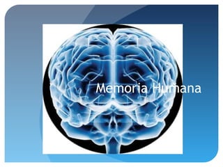 Memoria Humana
 