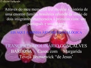 Através do meu memorial irei mostrar a história de uma enorme família brasileira oriunda da união de dois imigrantes enamorados à primeira vista: um português e uma alemã EIS AQUI A MINHA ÁRVORE GENEALÓGICA FRANCISCO APOLINÁRIO   GONÇALVES BARBOSA  Casou com  Margarida Teveja Brunszwick “de Jesus’ 