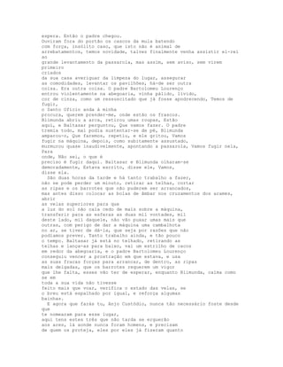 espera. Então o padre chegou.
Ouviram fora do portão os cascos da mula batendo
com força, insólito caso, que isto não é animal de
arrebatamentos, temos novidade, talvez finalmente venha assistir el-rei
ao
grande levantamento da passarola, mas assim, sem aviso, sem virem
primeiro
criados
da sua casa averiguar da limpeza do lugar, assegurar
as comodidades, levantar os pavilhões, há-de ser outra
coisa. Era outra coisa. O padre Bartolomeu Lourenço
entrou violentamente na abegoaria, vinha pálido, lívido,
cor de cinza, como um ressuscitado que já fosse apodrecendo, Temos de
fugir,
o Santo Ofício anda à minha
procura, querem prender-me, onde estão os frascos.
Blimunda abriu a arca, retirou umas roupas, Estão
aqui, e Baltasar perguntou, Que vamos fazer. O padre
tremia todo, mal podia sustentar-se de pé, Blimunda
amparou-o, Que faremos, repetiu, e ele gritou, Vamos
fugir na máquina, depois, como subitamente assustado,
murmurou quase inaudivelmente, apontando a passarola, Vamos fugir nela,
Para
onde, Não sei, o que é
preciso é fugir daqui. Baltasar e Blimunda olharam-se
demoradamente, Estava escrito, disse ele, Vamos,
disse ela.
  São duas horas da tarde e há tanto trabalho a fazer,
não se pode perder um minuto, retirar as telhas, cortar
as ripas e os barrotes que não puderem ser arrancados,
mas antes disso colocar as bolas de âmbar nos cruzamentos dos arames,
abrir
as velas superiores para que
a luz do sol não caia cedo de mais sobre a máquina,
transferir para as esferas as duas mil vontades, mil
deste lado, mil daquele, não vão puxar umas mais que
outras, com perigo de dar a máquina uma cambalhota
no ar, se tiver de dá-la, que seja por razões que não
podíamos prever. Tanto trabalho ainda, e tão pouco
o tempo. Baltasar já está no telhado, retirando as
telhas e lança-as para baixo, vai um estrilho de cacos
em redor da abegoaria, e o padre Bartolomeu Lourenço
conseguiu vencer a prostração em que estava, e usa
as suas fracas forças para arrancar, de dentro, as ripas
mais delgadas, que os barrotes requerem um vigor
que lhe falta, esses vão ter de esperar, enquanto Blimunda, calma como
se em
toda a sua vida não tivesse
feito mais que voar, verifica o estado das velas, se
o breu está espalhado por igual, e reforça algumas
bainhas.
  E agora que farás tu, Anjo Custódio, nunca tão necessário foste desde
que
te nomearam para esse lugar,
aqui tens estes três que não tarda se erguerão
aos ares, lá aonde nunca foram homens, e precisam
de quem os proteja, eles por eles já fizeram quanto
 