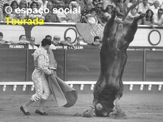 O  espaço social  Tourada 