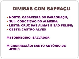 DIVISAS COM SAPEAÇU 
 NORTE: CABACEIRA DO PARAGUAÇU; 
 SUL: CONCEIÇÃO DO ALMEIDA; 
 LESTE: CRUZ DAS ALMAS E SÃO FELIPE; 
 OESTE: CASTRO ALVES 
MESORREGIÃO: SALVADOR 
MICRORREGIÃO: SANTO ANTÔNIO DE 
JESUS 
 