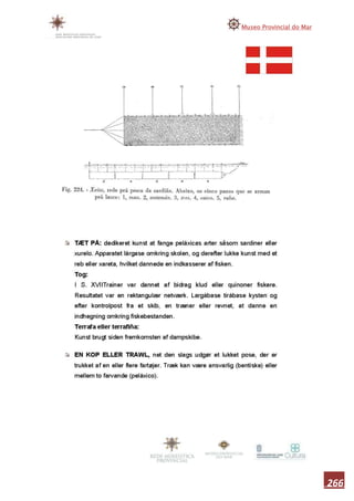 Memoria museo do mar 2010 1ªparte