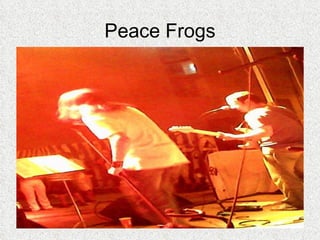 Peace Frogs 