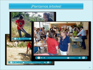 ¡Plantamos árboles!




                      15
 
