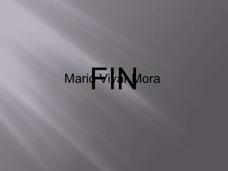 FIN
Mario Vivar Mora
 