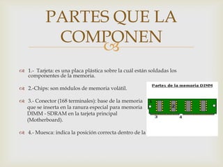 PARTES QUE LA
            COMPONEN
                
 1.- Tarjeta: es una placa plástica sobre la cuál están soldadas los
  componentes de la memoria.

 2.-Chips: son módulos de memoria volátil.

 3.- Conector (168 terminales): base de la memoria
  que se inserta en la ranura especial para memoria
  DIMM - SDRAM en la tarjeta principal
  (Motherboard).

 4.- Muesca: indica la posición correcta dentro de la ranura de memoria.
 