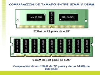 Su precio también es menor. 