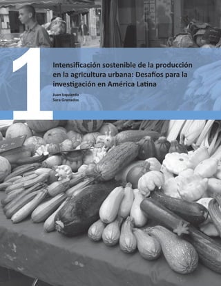 0HPRULDV$8

/ŶƚĞŶƐŝĮĐĂĐŝſŶƐŽƐƚĞŶŝďůĞĚĞůĂƉƌŽĚƵĐĐŝſŶ
ĞŶůĂĂŐƌŝĐƵůƚƵƌĂƵƌďĂŶĂ͗ĞƐĂİŽƐƉĂƌĂůĂ
ŝŶǀĞƐƟŐĂĐŝſŶĞŶŵĠƌŝĐĂĂƟŶĂ
:ƵĂŶ/ǌƋƵŝĞƌĚŽ
^ĂƌĂ'ƌĂŶĂĚŽƐ
 