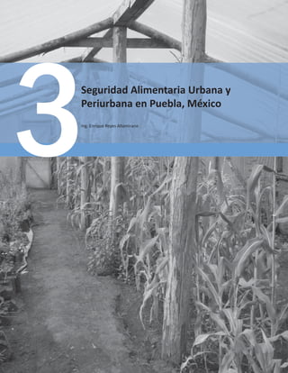 0HPRULDV$8

^ĞŐƵƌŝĚĂĚůŝŵĞŶƚĂƌŝĂhƌďĂŶĂǇ
WĞƌŝƵƌďĂŶĂĞŶWƵĞďůĂ͕DĠǆŝĐŽ
/ŶŐ͘ŶƌŝƋƵĞZĞǇĞƐůƚĂŵŝƌĂŶŽ
 