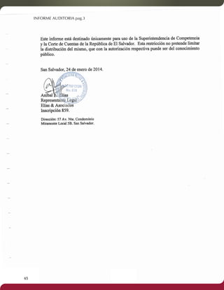 INFORME AUDITORIA pag.3 
65 
 