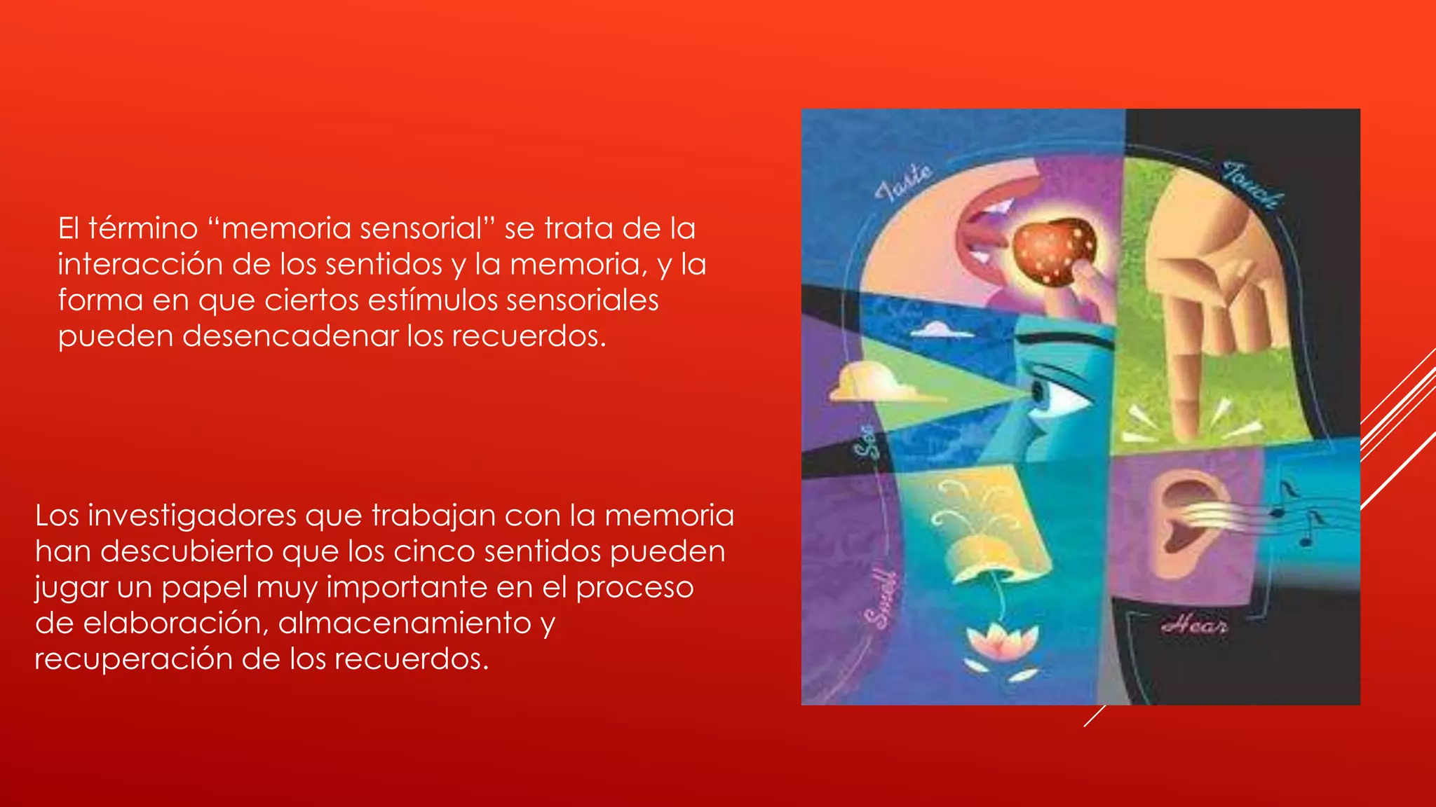Memoria sensorial | PPTX