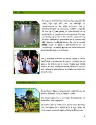 1. d) TILAPIA



                             Por el poco financiamiento externo, la producción de
                             tilapia roja bajó este año. Sin embargo, el
                             fortalecimiento en los ciclos anteriores con el
                             acondicionamiento de estanques, siembra y engorde
                             de más de 100,000 peces, el financiamiento de la
                             alimentación, se complementó un importante ciclo, que
                             repercutió para que en el 2012 se diera seguimiento y
                             asistencia a 50 familias beneficiarias en 10 comunidades
                             a 24 estanques con 25,000 alevines. De esto, se reporta
                             14,000 libras de pescado comercializado en las
                             comunidades a través de 9 puntos de venta manejados
                            por grupos de mujeres organizadas.



                            Con el proyecto de tilapia, se integra a toda la familia
                            beneficiada en actividades de manejo y cuidado de los
                            peces y del entorno de la misma. Trabajo que facilita
                            además, el uso y manejo sostenible del recurso agua, lo
                            que conlleva la realización de actividades de protección
                            de las fuentes.




   1. e) MADERABLES PUROS



                            Se cuenta con 46 parcelas puras con maderables de las
                            especies de caoba, laurel, marapolán y cedro.

                            Este proyecto garantiza la generación de ingresos de los
                            productores en el largo plazo.

                            Se coordina con el Instituto de Conservación Forestal,
                            (ICF) encargado de la Certificación y ante quien se
                            encuentra en proceso la legalización de las 46 parcelas.


                                                                                   4
 