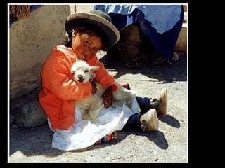 O amor pelos seres humanos e o amor  pela natureza. 