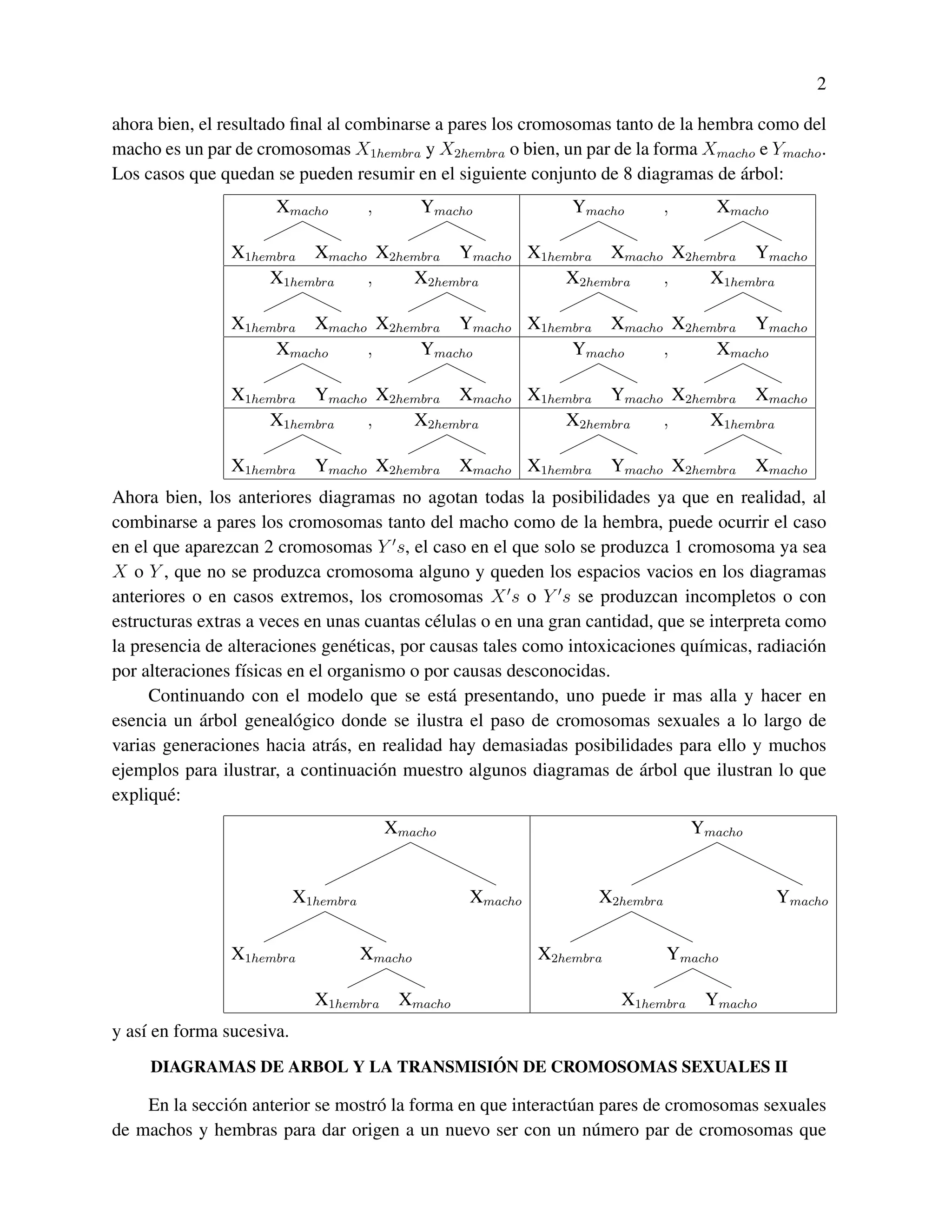 2

ahora bien, el resultado ﬁnal al combinarse a pares los cromosomas tanto de la hembra como del
macho es un par de cromosomas X1hembra y X2hembra o bien, un par de la forma Xmacho e Ymacho .
                                                                                   ´
Los casos que quedan se pueden resumir en el siguiente conjunto de 8 diagramas de arbol:
                      Xmacho          ,        Ymacho             Ymacho         ,      Xmacho

                X1hembra Xmacho X2hembra Ymacho X1hembra Xmacho X2hembra Ymacho
                    X1hembra   ,    X2hembra        X2hembra   ,    X1hembra

                X1hembra Xmacho X2hembra Ymacho X1hembra Xmacho X2hembra Ymacho
                     Xmacho    ,     Ymacho          Ymacho    ,     Xmacho

                X1hembra Ymacho X2hembra Xmacho X1hembra Ymacho X2hembra Xmacho
                    X1hembra   ,    X2hembra        X2hembra   ,    X1hembra

                X1hembra     Ymacho X2hembra        Xmacho X1hembra      Ymacho X2hembra      Xmacho
Ahora bien, los anteriores diagramas no agotan todas la posibilidades ya que en realidad, al
combinarse a pares los cromosomas tanto del macho como de la hembra, puede ocurrir el caso
en el que aparezcan 2 cromosomas Y s, el caso en el que solo se produzca 1 cromosoma ya sea
X o Y , que no se produzca cromosoma alguno y queden los espacios vacios en los diagramas
anteriores o en casos extremos, los cromosomas X s o Y s se produzcan incompletos o con
estructuras extras a veces en unas cuantas c´ lulas o en una gran cantidad, que se interpreta como
                                             e
la presencia de alteraciones gen´ ticas, por causas tales como intoxicaciones qu´micas, radiaci´ n
                                  e                                              ı              o
por alteraciones f´sicas en el organismo o por causas desconocidas.
                  ı
     Continuando con el modelo que se est´ presentando, uno puede ir mas alla y hacer en
                                               a
            ´
esencia un arbol geneal´ gico donde se ilustra el paso de cromosomas sexuales a lo largo de
                          o
varias generaciones hacia atr´ s, en realidad hay demasiadas posibilidades para ello y muchos
                               a
                                                                         ´
ejemplos para ilustrar, a continuaci´ n muestro algunos diagramas de arbol que ilustran lo que
                                      o
expliqu´ :
        e
                                          Xmacho                                     Ymacho


                           X1hembra                  Xmacho           X2hembra                   Ymacho


                X1hembra              Xmacho                  X2hembra           Ymacho

                             X1hembra      Xmacho                         X1hembra    Ymacho
y as´ en forma sucesiva.
    ı
                                      ´
     DIAGRAMAS DE ARBOL Y LA TRANSMISION DE CROMOSOMAS SEXUALES II

    En la secci´ n anterior se mostr´ la forma en que interact´ an pares de cromosomas sexuales
               o                    o                         u
de machos y hembras para dar origen a un nuevo ser con un n´ mero par de cromosomas que
                                                                  u
 