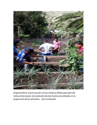 Organizando la huerta escolar con los residuos sólidos que salen del 
restaurante escolar, los productos de esta huerta son utilizados en la 
preparación de los alimentos de la institución 
 
