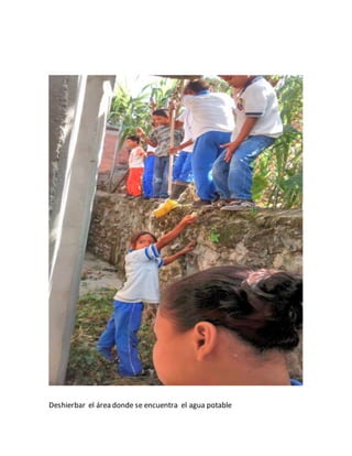 Deshierbar el área donde se encuentra el agua potable 
 