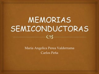 Maria Angelica Perea Valderrama
Carlos Peña
 