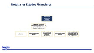 Notas a los Estados Financieros
Sección 8
Notas a los
Estados
Financieros
Alcance
Estructura de las
Notas
Información a
revelar sobre
Políticas
Contables
Información sobre
Juicios
Información sobre
Fuentes Clave de
Incertidumbre en
la Estimación
Las Notas contienen
información adicional a la
presentada en los
Estados Financieros.
 