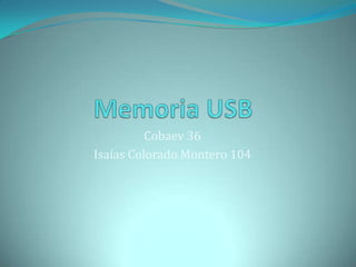 Cobaev 36
Isaías Colorado Montero 104
 