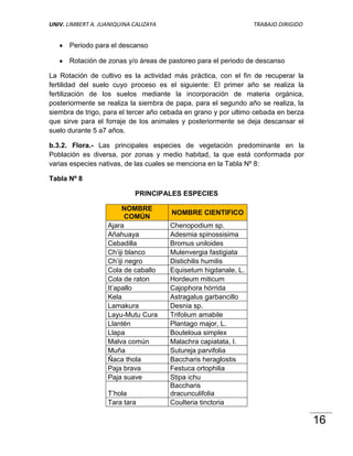 UNIV. LIMBERT A. JUANIQUINA CALIZAYA                             TRABAJO DIRIGIDO


      Periodo para el descanso

      Rotación de zonas y/o áreas de pastoreo para el periodo de descanso

La Rotación de cultivo es la actividad más práctica, con el fin de recuperar la
fertilidad del suelo cuyo proceso es el siguiente: El primer año se realiza la
fertilización de los suelos mediante la incorporación de materia orgánica,
posteriormente se realiza la siembra de papa, para el segundo año se realiza, la
siembra de trigo, para el tercer año cebada en grano y por ultimo cebada en berza
que sirve para el forraje de los animales y posteriormente se deja descansar el
suelo durante 5 a7 años.

b.3.2. Flora.- Las principales especies de vegetación predominante en la
Población es diversa, por zonas y medio habitad, la que está conformada por
varias especies nativas, de las cuales se menciona en la Tabla Nº 8:

Tabla Nº 8

                            PRINCIPALES ESPECIES

                        NOMBRE
                                       NOMBRE CIENTIFICO
                          COMÚN
                   Ajara               Chenopodium sp.
                   Añahuaya            Adesmia spinossisima
                   Cebadilla           Bromus uniloides
                   Ch’iji blanco       Mulenvergia fastigiata
                   Ch’iji negro        Distichilis humilis
                   Cola de caballo     Equisetum higdanale, L.
                   Cola de raton       Hordeum miticum
                   It’apallo           Cajophora hórrida
                   Kela                Astragalus garbancillo
                   Lamakura            Desnia sp.
                   Layu-Mutu Cura      Trifolium amabile
                   Llantén             Plantago major, L.
                   Llapa               Bouteloua simplex
                   Malva común         Malachra capiatata, I.
                   Muña                Sutureja parvifolia
                   Ñaca thola          Baccharis heraglostis
                   Paja brava          Festuca ortophilia
                   Paja suave          Stipa ichu
                                       Baccharis
                   T’hola              dracunculifolia
                   Tara tara           Coulteria tinctoria

                                                                                    16
 