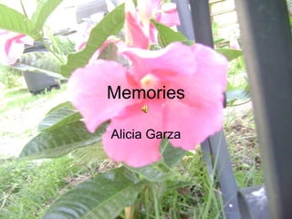 Memories
Alicia Garza
 