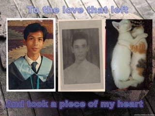 The Diary of Memories