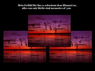 Dein Gefühl für ihn es schwärmt dem Himmel zu,
   alles was mir bleibt sind memories of you.
 