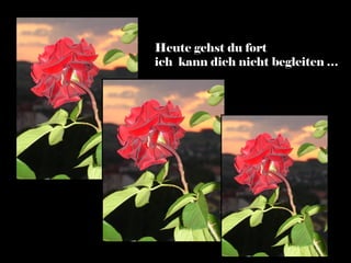 Heute gehst du fort
ich kann dich nicht begleiten …
 