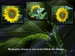 Memories of you es war kein Glück für immer…
 
