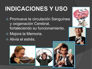 INDICACIONES Y USO 
 Promueve la circulación Sanguínea 
y oxigenación Cerebral, 
fortaleciendo su funcionamiento. 
 Mejora la Memoria. 
 Alivia el estrés. 
 
