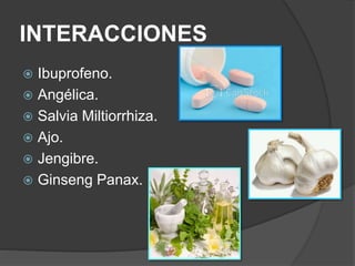 INTERACCIONES 
 Ibuprofeno. 
 Angélica. 
 Salvia Miltiorrhiza. 
 Ajo. 
 Jengibre. 
 Ginseng Panax. 
 