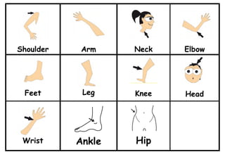 Shoulder Arm Neck Elbow 
Feet 
Leg 
Knee 
Head 
Wrist 
Ankle 
Hip 
 