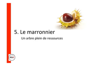 5.	Le	marronnier	
Un	arbre	plein	de	ressources	
	
 