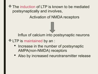  The induction of LTP is known to be mediated
postsynaptically and involves,
Activation of NMDA receptors
Influx of calcium into postsynaptic neurons
 LTP is maintained by an :
 Increase in the number of postsynaptic
AMPA(non-NMDA) receptors
 Also by increased neurotransmitter release
 