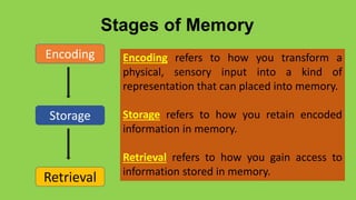 Memory 10 | PDF