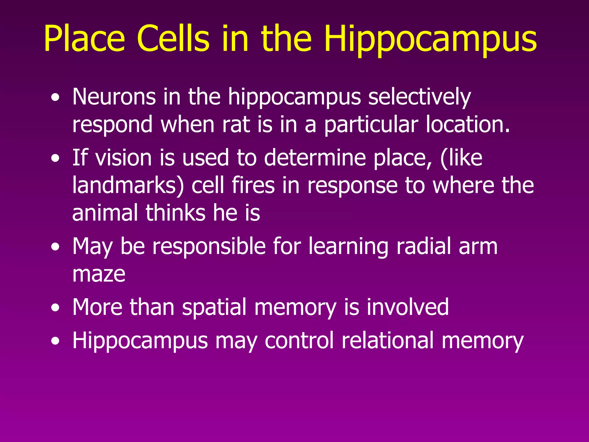 Place Cells in the Hippocampus   Neurons in the hippocampus selectively respond when rat is in a particular location. If vision is used to determine place, (like landmarks) cell fires in response to where the animal thinks he is May be responsible for learning radial arm maze More than spatial memory is involved Hippocampus may control relational memory 