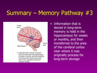 Memory | PPT