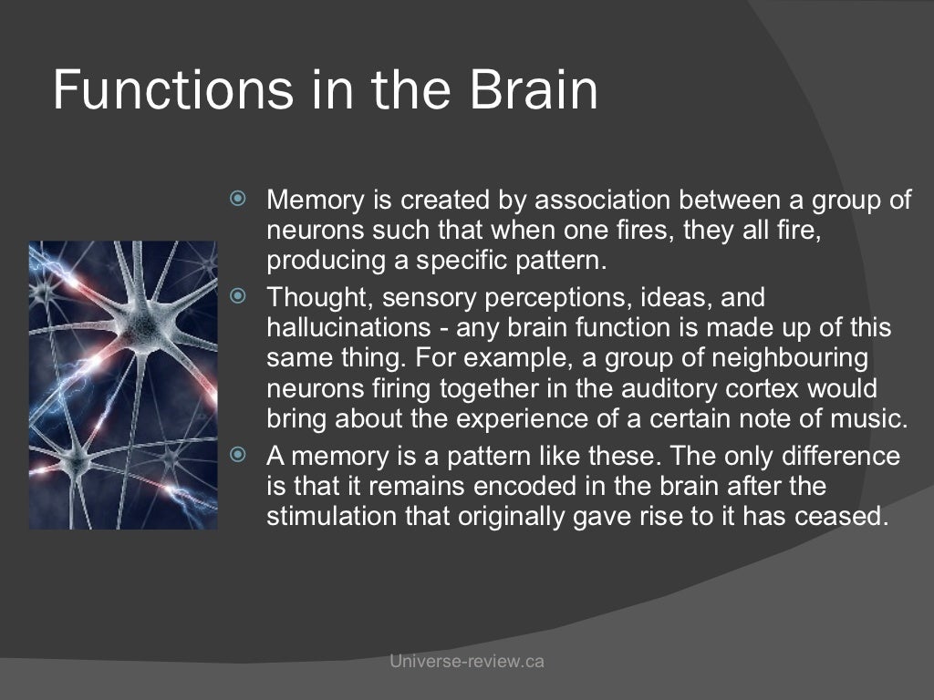 example of eidetic memory example of eidetic memory