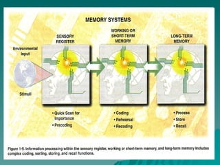 Memory | PPT
