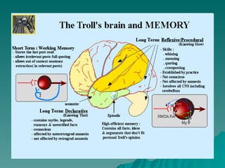Transience Memory Memory | PPT