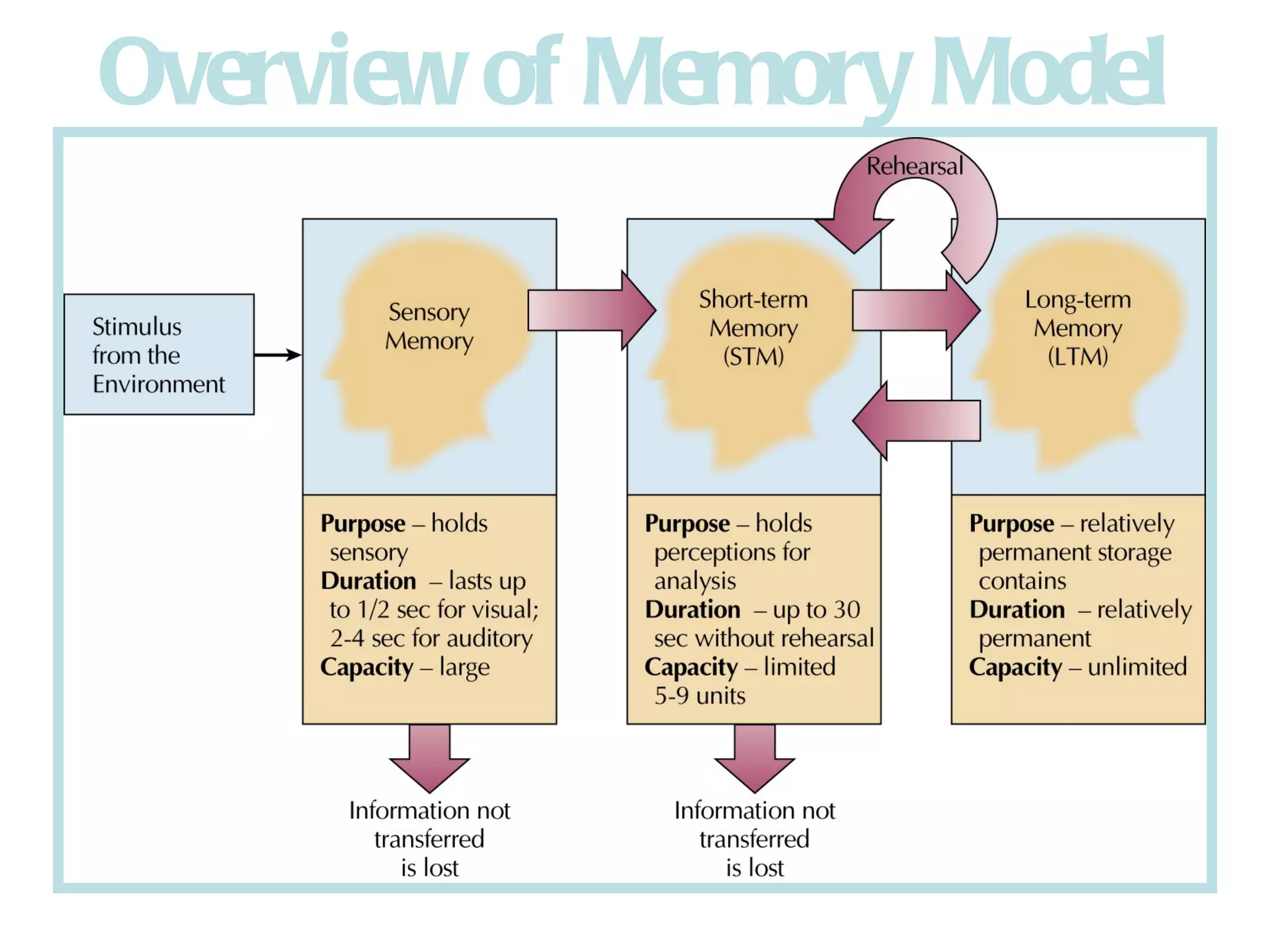 Overview of Memory Model 