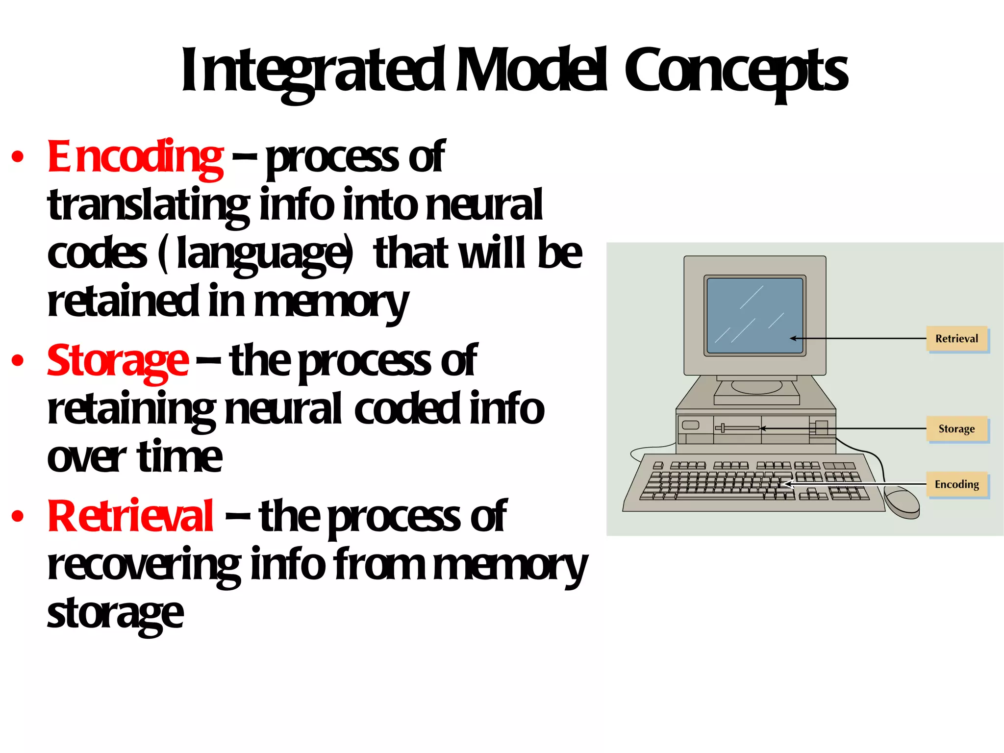 Integrated Model Concepts Encoding  – process of translating info into neural codes (language) that will be retained in memory Storage  – the process of retaining neural coded info over time Retrieval  – the process of recovering info from memory storage 