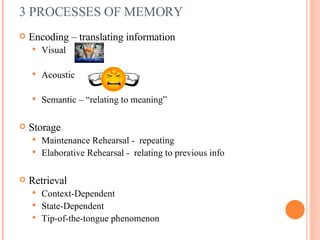 Three Key Memory Processes Encoding Definition Memory | PPT