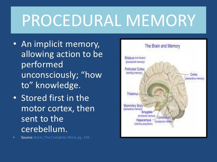 where is memory stored in the brain where is memory stored in the brain